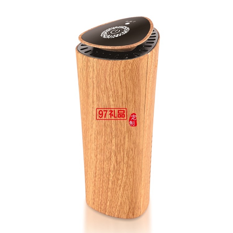 車(chē)家兩用凈化器