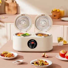 華帝智能雙膽電飯煲VFB019C